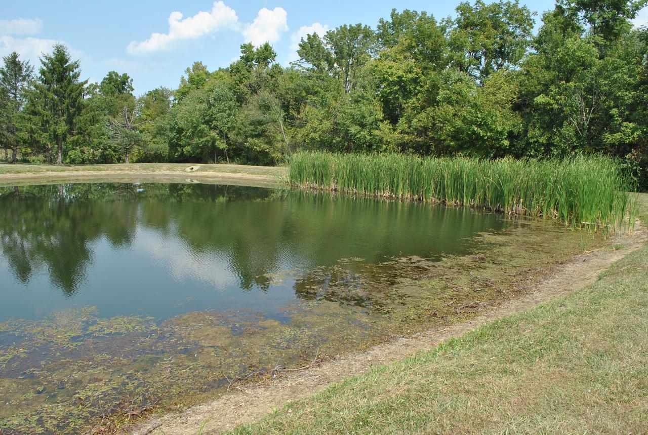 Wilmington Camping Resort 外观 照片